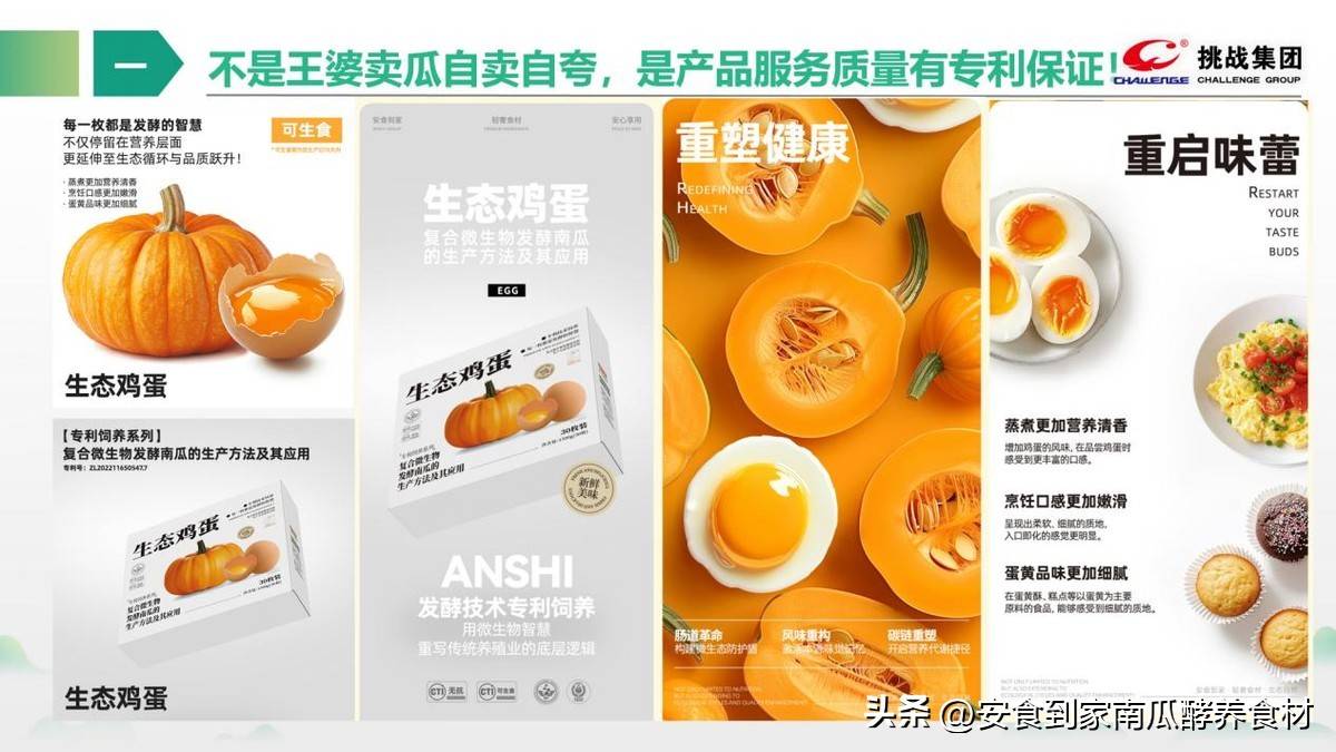 挑战集团安食到家品牌简介