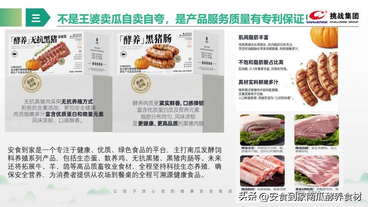 挑战集团安食到家品牌简介