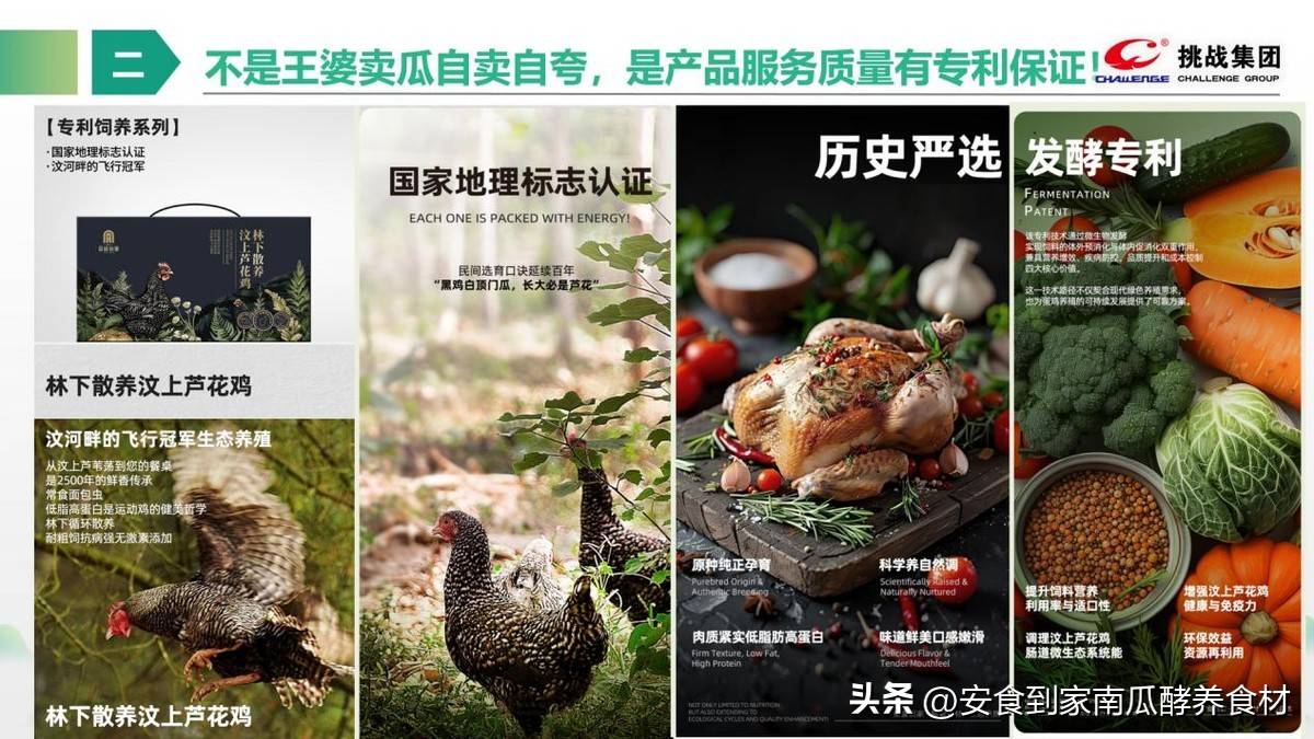 挑战集团安食到家品牌简介