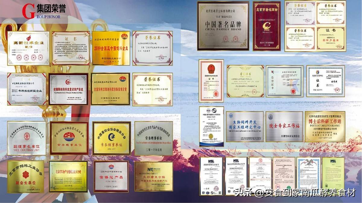 挑战集团安食到家品牌简介