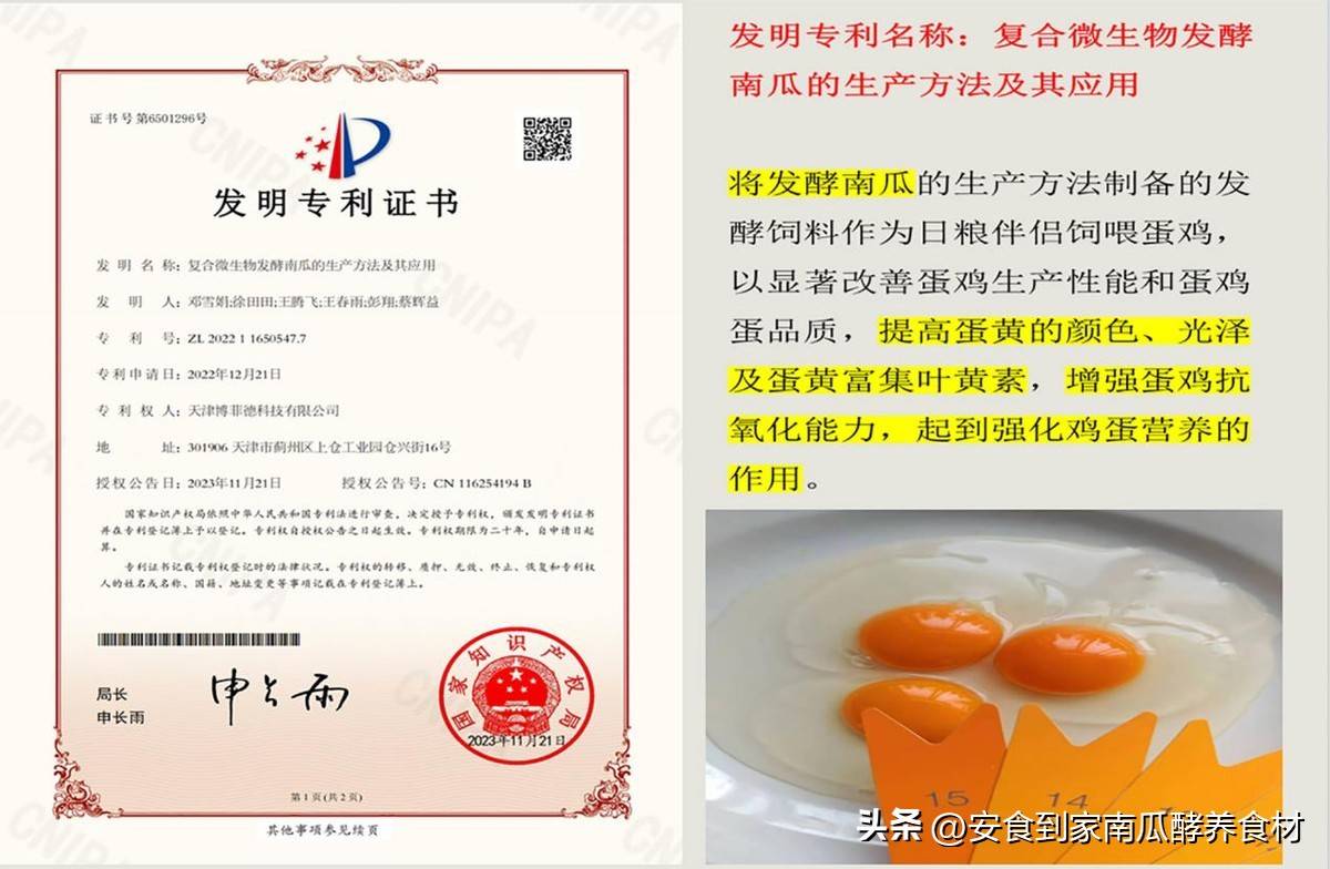 挑战集团安食到家品牌简介