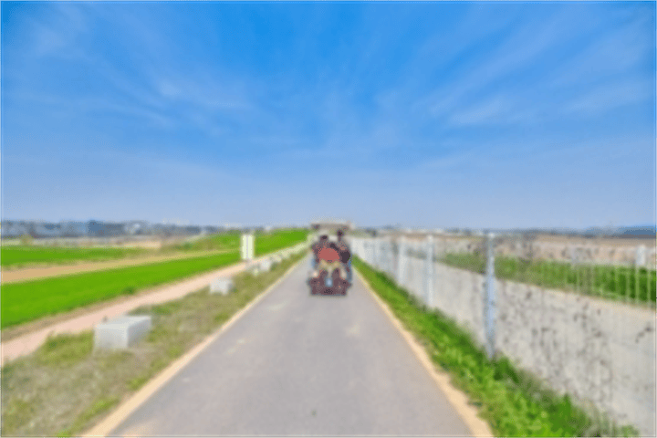安城农场景点简介