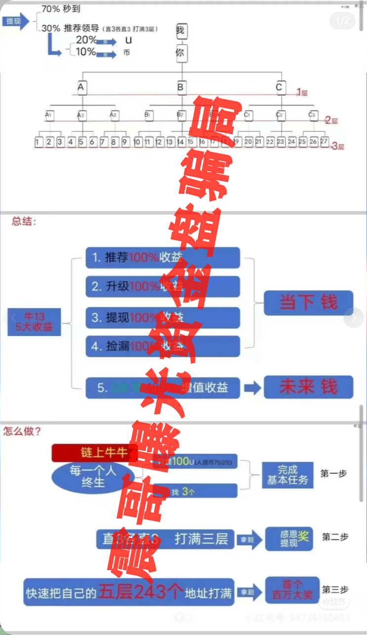 链上牛牛暴雷实录：震哥带你扒开币安"牛十三"资金盘套路